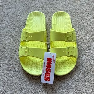 Freedom Moses Slides